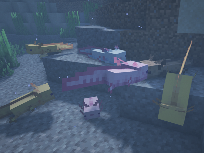 Axolotl swimming in minecraft