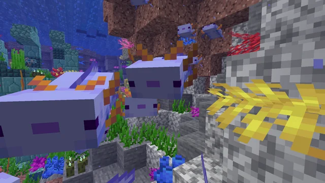Axolotls swimming in minecraft